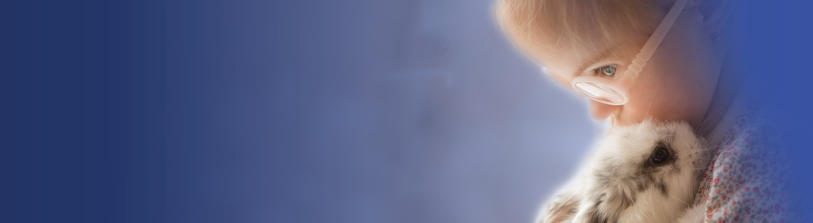 Eligibility ABLE for All